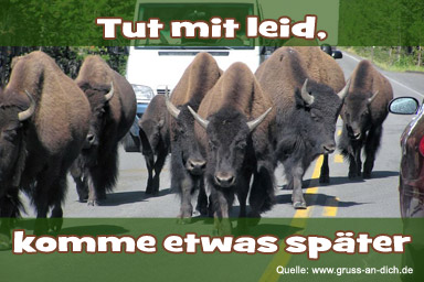 Entschuldigungsgrukarte
