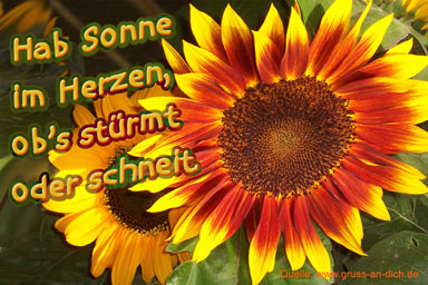 Gruß zwischendurch lieben lieben gruß
