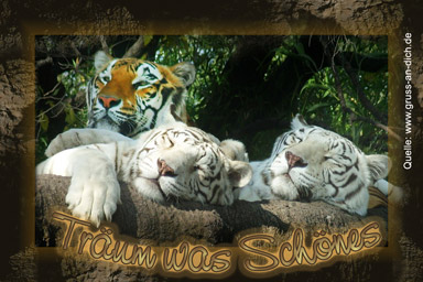 Gute Nacht-Ecard, Tiger, Text: Träum was Schönes