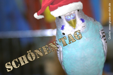Tagesgrukarte