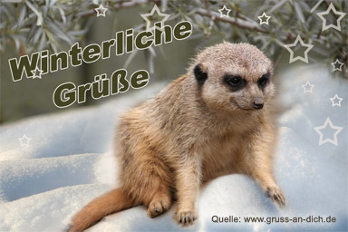 Winterkarte, Erdmännchen, Schnee, Text: Winterliche Grüße